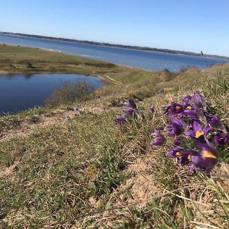Porshus Ferielejlighed Sundstrup Kültér fotó